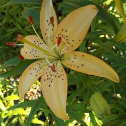 ffIGu7qoK045o04ZAA-v3jAw-zMfHbI_A-V37gdSXqAqTRCROhcNiWbp-14iICNipVXFzz27SS1jBWlJ-jUYKTEy4e337f596fc49dad