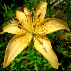 toNntR9xf55eDE5G8b8wKXfvObNmQYdzccyR0qv3PSRwiNRnNOyLP6ip1vuwZZgeZGV9iAG_58ad3be561de8a27