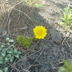 ADONIMG_20250415_111309c58f370ef144d7c1