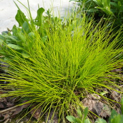 P1210963bf0691f28b94d6b0