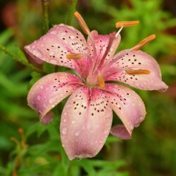 EbgQ4bSZHEr5arGAdpoKbVlVrtYVlVblnMLMNFjoMXQZtTXkGvq1Eaw4w-PBgom9p_S21yr5y6BbVs3KTiZfMlge24cce34a3a325fde1