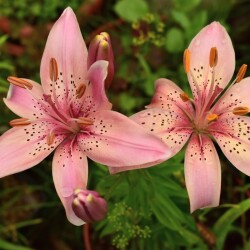 R0N-sm-bh0rCco5-90ntTlSL_ZUG_TzYCyvoG4CLWeug_w4yrwPH7Fik9Xg-If2Lc9ymocyhqzMy960VgRva5Jko2bdba0b27d7dfb8da