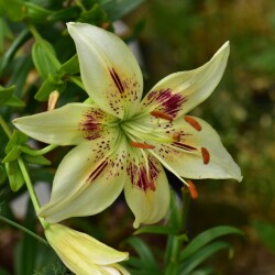 DMSlmSK62jFzMnvQQAhkvR_mVHIQpdxc6z1FCM0dqiLcFR1bhV-A29XfPcNw5-4hv6NxpfplMzh_eL8nSKZwfOem60bddc6ce59276ff