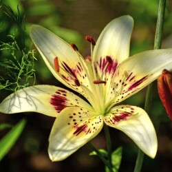 vsFDzy_dCCN4H-qGKWgogBH9V5J9Tjon9uhmkIOjuTecWPBYgcDTzRjLOZcPQySSLWInP859nBkJTF2JkmUwFdmBb27b4edf77e5680b