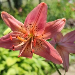 zLZ9FvklxuGhV4BbPAG6UJ0HtT9_OnXkQtM_JNNSre__CwIBfDlUqjdNjXf9jlmCm2pzHZNVqUKaNUmNtLlGxsH89899e16db29ab723