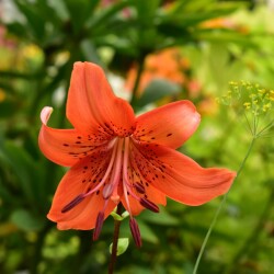 2aZdaBP1ESwBneLCd_MWoM3j8MTQGwPbVRI-32Wub0aJKVJhVtlT6DZgVuxctDk2mHpGSuQpZ95W8EAIwGbjAc5Ue6e2043a6ad536ba