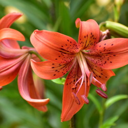 tkfBj5DtoX4rXDe9BQ5vBGD7FVvBd9IlGtTJO2KCk9tsGAON4PXC5HGuQFFUJLWPRggJLcCfrG13P65cr9qZW35qafa14bf375499063