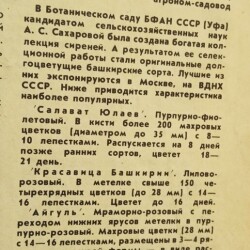 lilac-ufa166d3c8489e442c6