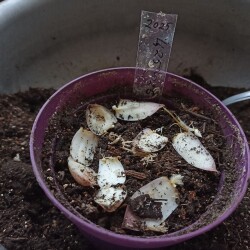 IMG_20251130_1602190f19a473af13d048