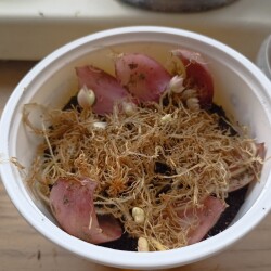 IMG_20251221_1422581ae99723bf78aa02