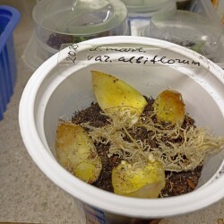 IMG_20251227_185415cf0d9c740aecab9c