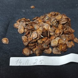 IMG_20251207_141855f3ae7c6532aad94f