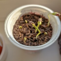 IMG_20260313_0925105700fa66c1303814