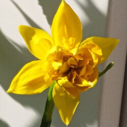 Boucle-14-m261e8ff2b4db8b04