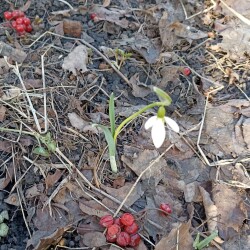 IMG_20260316_10481288cdd94dd4e39db6