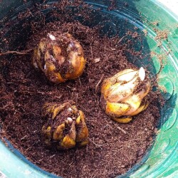 Lily-Mar-20260c513a970ac4caa4