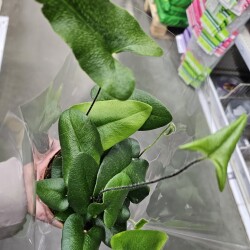 20260324_1333296791e6bd067f64d6