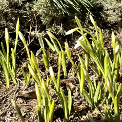 IMG_134293342c3225bba95e