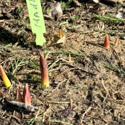 IMG_1344dab368689658c14f