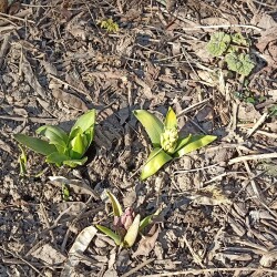 IMG_20260326_104415f72a6f5e7e5bfd89