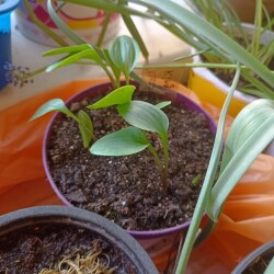 IMG_20250522_08154004b75e6fc8f9fb02