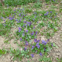 IMG_20260401_1227212a0c512cf3dee0c2