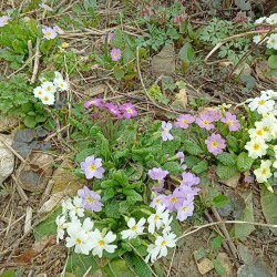 IMG_20260401_125209969bd90fb461a115