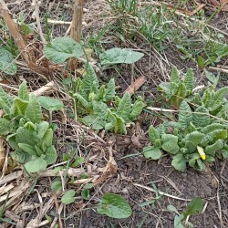 IMG_20260402_093431228267045a1a3077