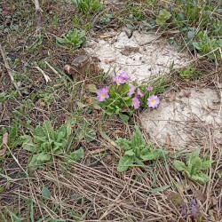 IMG_20260402_093617697ef7e1add5053c