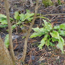 DSCN287167aee685d3ef5407