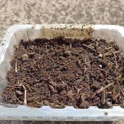 IMG_20260404_12380412384087e1189e54