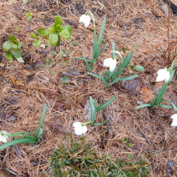 DSCN2860a8c5ecea4a3304ff