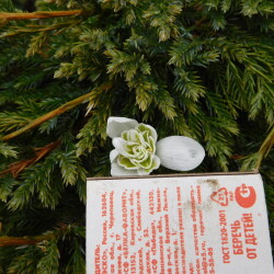 DSCN286312e51c9121a6cb44