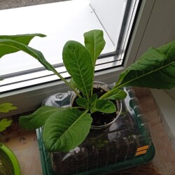 no-name-8-458c07eb791d7f4cd