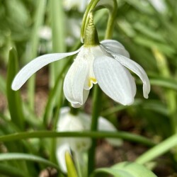 IMG_1401a3473632655b56be