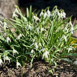 IMG_14278409f6dc9e489c23