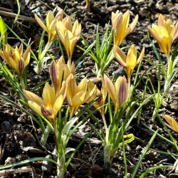 IMG_142936cc05b9c3e1bba6