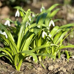 IMG_1451885638f08a27fe9c