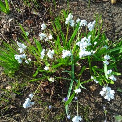 push-19-Apr-2680358151241b6049