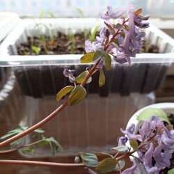 IMG_20260417_1903496fdf1627ba338c12