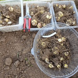 IMG_20250921_172020d660127c025a293c