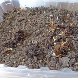 IMG_20260322_1210025b9c4accd125a084