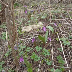 IMG_20260419_122431ee6a0377a1b653b7