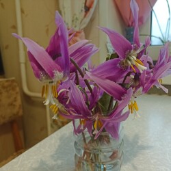 IMG_20260419_191357d12b9afad84c85c4