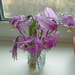 IMG_20260421_103119c40576634d633b48