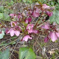 IMG_20260422_1400541f1e01e35b5d9bf9