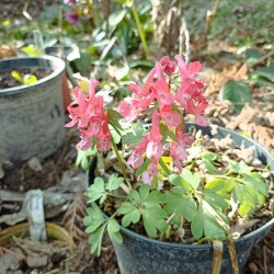 IMG_20260422_161027922ca578af9123ad