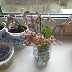 IMG_20260423_082958c7e2df6c2c942503