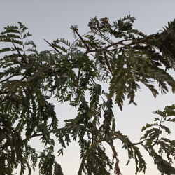 IMG_20240827_193211753b78b1a36a4a3a