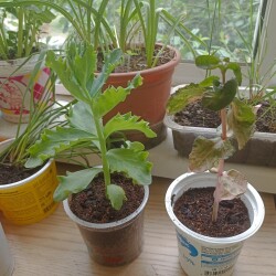 IMG_20250530_1131078fa4e844343c67a7